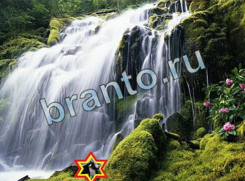 Найди собаку ответы в картинках Уровень 522