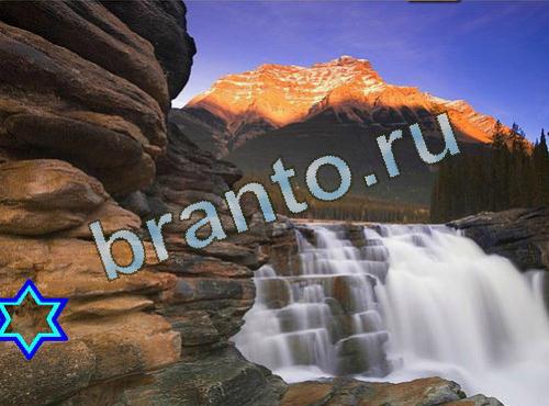 ответы на игру Найди собаку в контакте Уровень 523