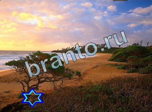 ответы на игру Найди собаку Уровень 524