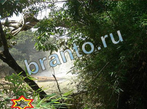 відповіді на игру Найди собаку Уровень 525