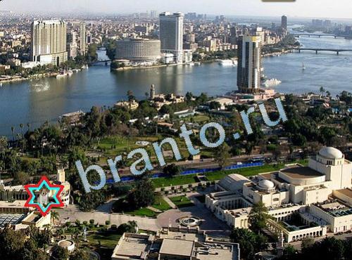 гда найти собаку в игре Найди собаку 526