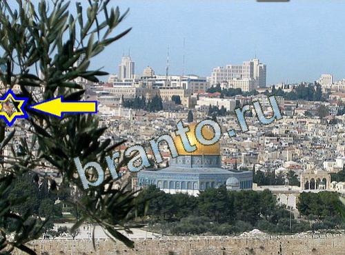 ответы на игру Найди собаку Уровень 538