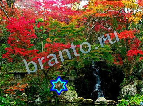 гда найти собаку в игре Найди собаку 589