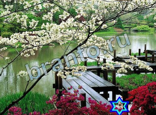 ответы на игру Найди собаку в контакте Уровень 590