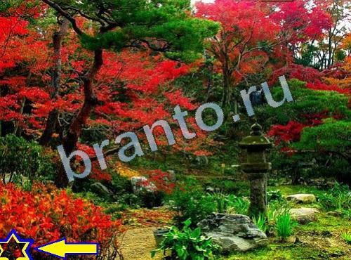 Найди собаку сборник ответов Уровень 591