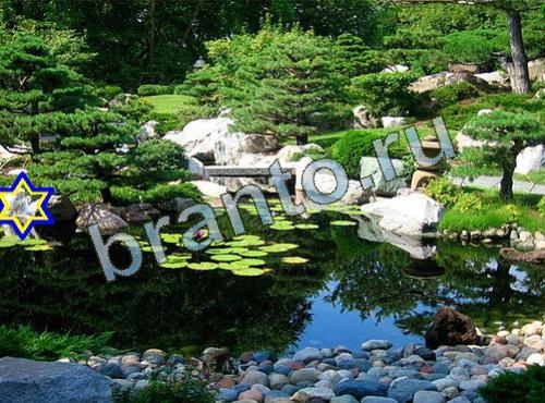 ответы на игру Найди собаку ВК Уровень 592