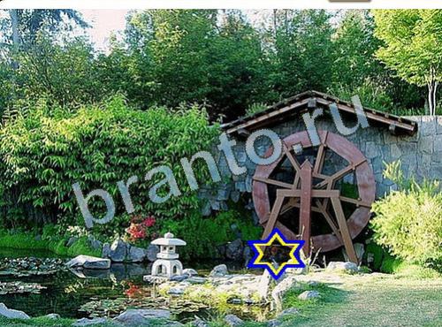 игра Найди собаку подсказки в контакте Уровень 593