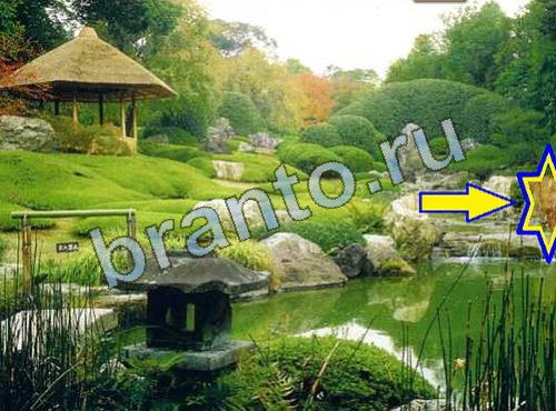 ответы на игру Найди собаку Уровень 594