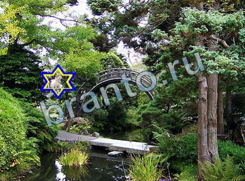 Найди собаку в одноклассниках ответы Уровень 598