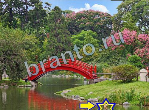 Найди собаку подсказки Уровень 599