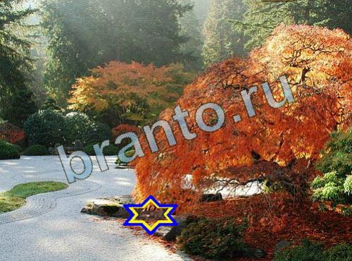 ответы на игру Найди собаку вконтакте Уровень 600