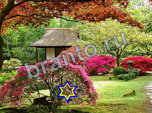 ответы на игру Найди собаку Уровень 601