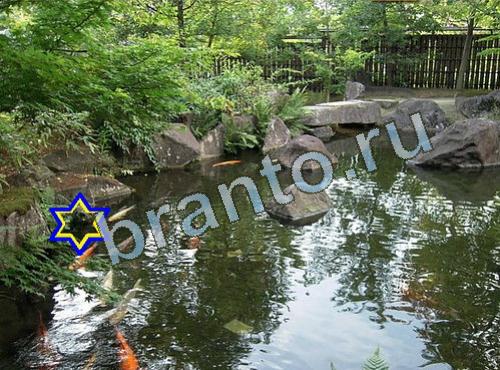 Найди собаку сборник ответов ВК Уровень 602