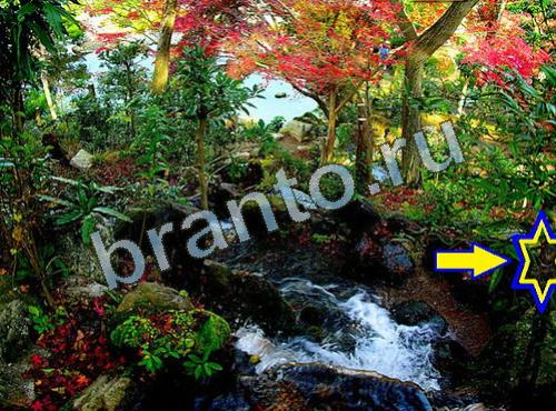 ответы на игру Найди собаку Уровень 604