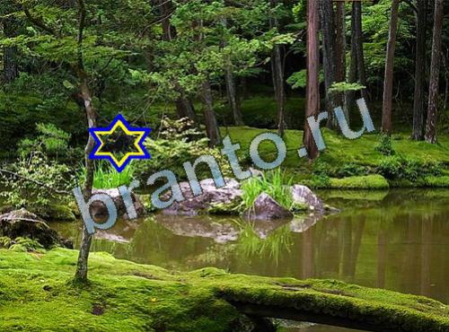 Игра Найди собаку подсказки Уровень 605