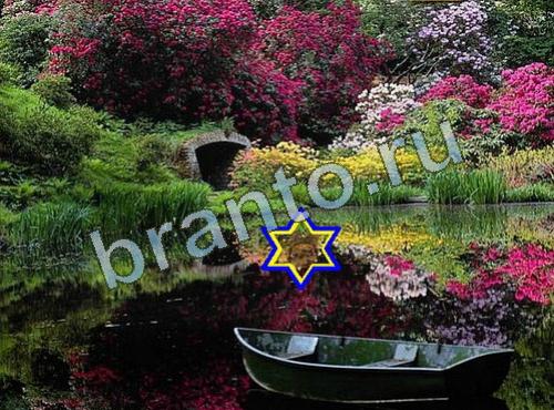 Найди собаку ответы в картинках Уровень 606