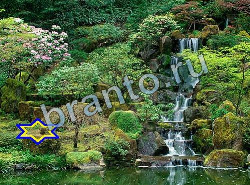 ответы на игру Найди собаку в контакте Уровень 607