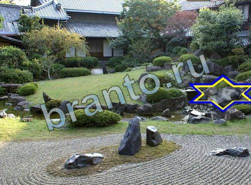 ответы на игру Найди собаку Уровень 608