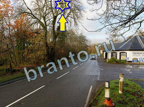 Найди собаку сборник ответов Уровень 612