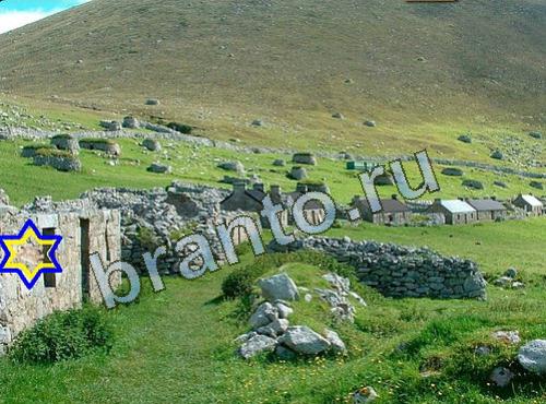 игра Найди собаку подсказки в контакте Уровень 614