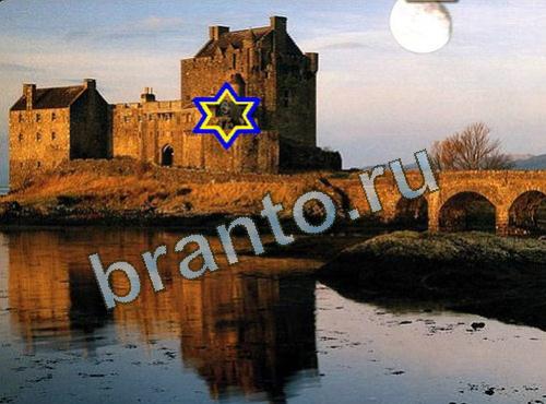 Найди собаку игра ответы Уровень 616