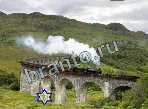 игра Найди собаку ответы Уровень 618