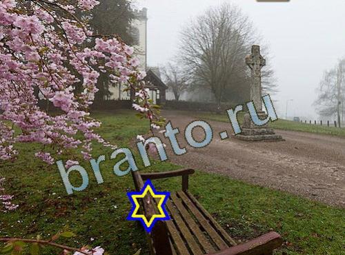 Найди собаку в одноклассниках ответы Уровень 619