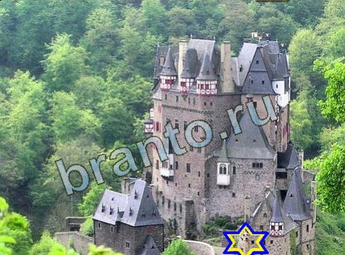 Найди собаку сборник ответов ВК Уровень 623