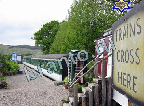 ответы на игру Найди собаку Уровень 624