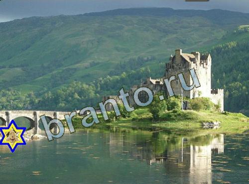 Игра Найди собаку подсказки Уровень 626