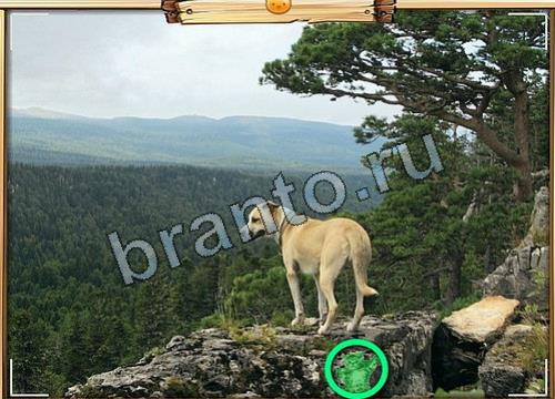 ответы на игру Усатое расследование в одноклассниках Уровень 61