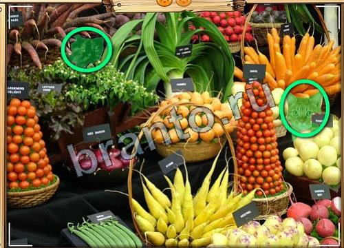 Подсказки на игру Усатое расследование Уровень 62