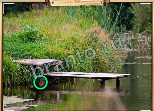 Решения на игру Усатое расследование Уровень 63