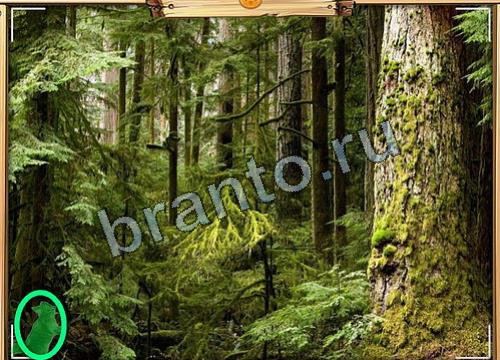 Помощь на игру ВК Усатое расследование Уровень 64