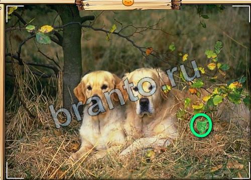 ответы к игре Усатое расследование Уровень 65