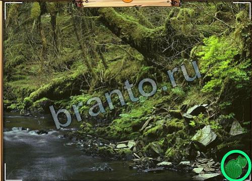 Усатое расследование игра ответы в одноклассниках Уровень 67