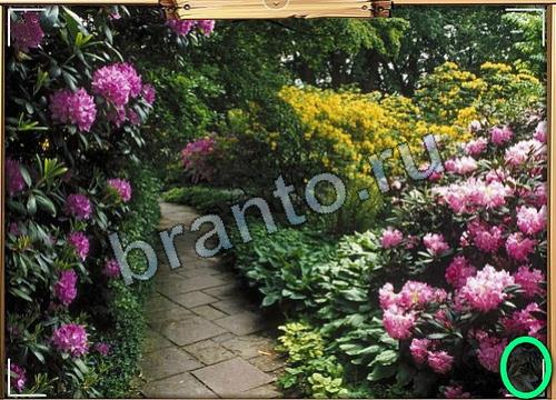 Усатое расследование подсказки в контакте Уровень 69