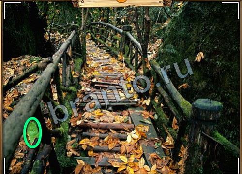 игра Усатое расследование ответ на Уровень 70