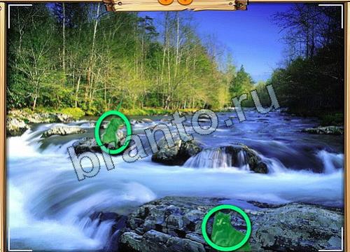 решебник на игру Усатое расследование Уровень 71