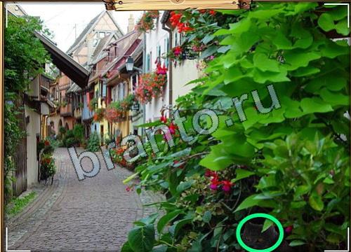 Усатое расследование решения Уровень 72