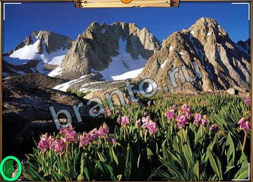 Усатое расследование игра ответы Уровень 73