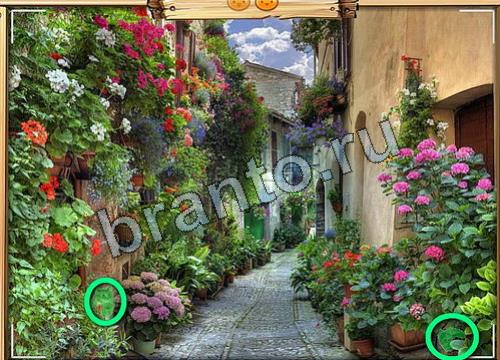 Усатое расследование игра подсказки Уровень 74