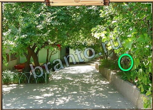 Усатое расследование игра в одноклассниках помощьУровень 75