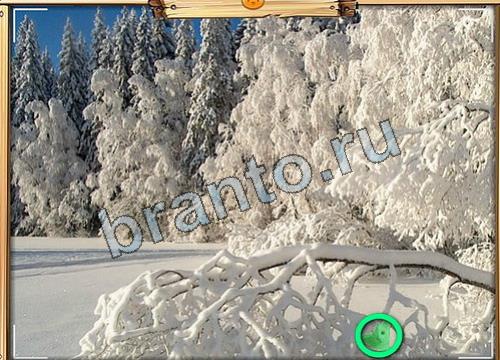 игра Усатое расследование помощь одноклассники Уровень 79