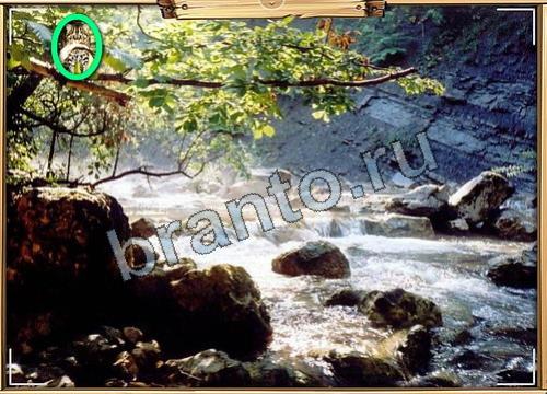 Усатое расследование игра подсказки Уровень 84