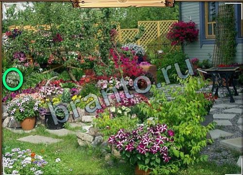 Усатое расследование игра помощь в контакте Уровень 85