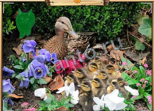 Усатое расследование ответы в картинках Уровень 86