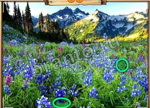 ответы на игру Усатое расследование в одноклассниках Уровень 91