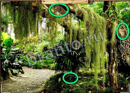 Решения на игру Усатое расследование Уровень 93