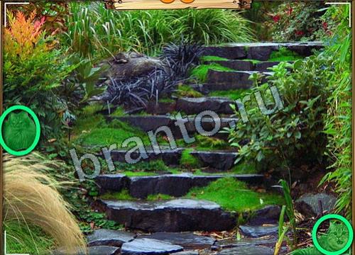 ответы к игре Усатое расследование Уровень 95